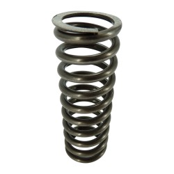 Mola da Válvula Fordinho