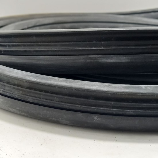 Borracha Vigia - Belina I