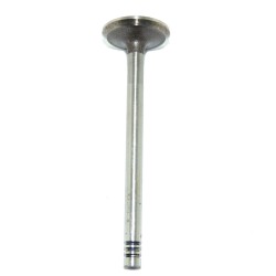 Válvula de Admissão - Brasília / Gol / Sedã