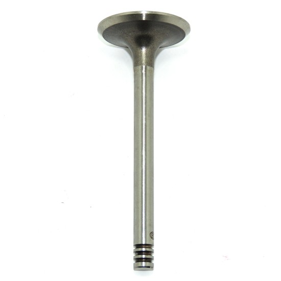 V&aacute;lvula de Admiss&atilde;o - Gol / Parati / Passat / Voyage