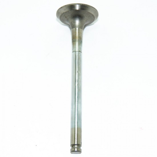 V&aacute;lvula de Escape  Fiat- Uno