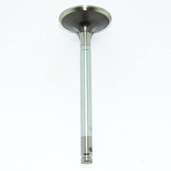 V&aacute;lvula de Admiss&atilde;o - Uno / Pr&ecirc;mio / Duna