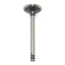 Válvula de Admissão Bbb - Passat / Parati / Voyage