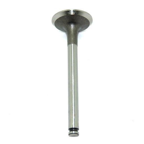 V&aacute;lvula de Admiss&atilde;o Trw - Passat / Parati / Voyage