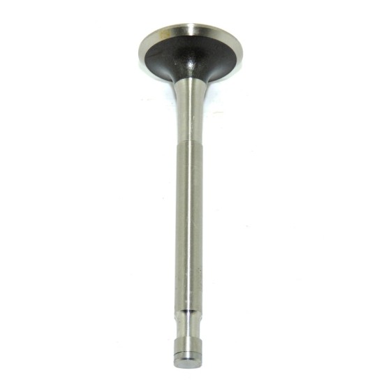 V&aacute;lvula de Escape Trw - Corcel