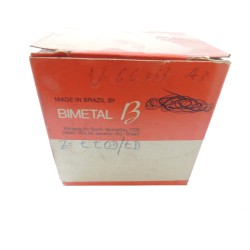 Bronzina Central Fusca - Std