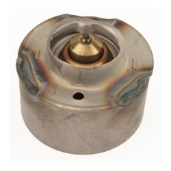 Válvula Termostática Fordinho