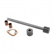 Reparo (Simples) Bomba &Oacute;leo Fordinho