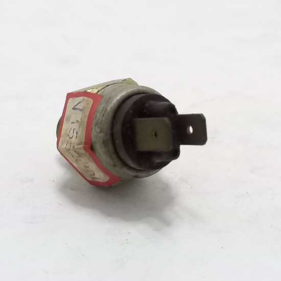 Interruptor de Luz R&eacute; Passat