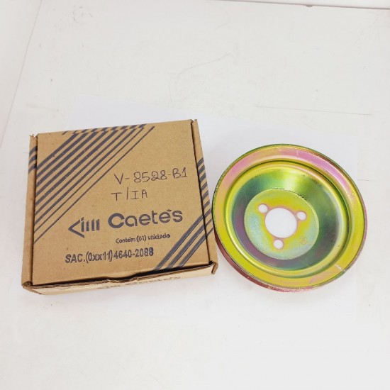 Polia da Bomba de &Aacute;gua Gol Voyage Parati 86 Ed.