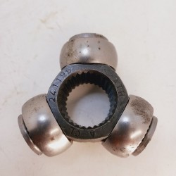 Trizeta Belina II Corcel II Del Rey Pampa Scala