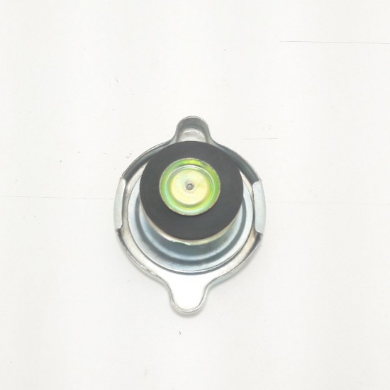 Tampa Radiador Escort, Gm, Pick-Up 4 Cil, Caminh&otilde;es