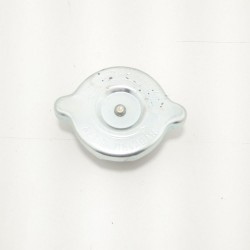 Tampa Radiador F1000,F4000,Gm,Willys